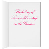 Sunshine Fairy Cards (Inside (Right))