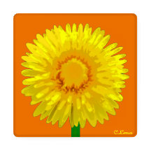 "Sunshine Flower" Coaster Set design.