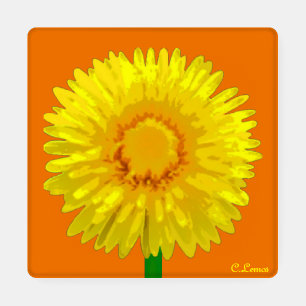 "Sunshine Flower" Coaster Set design.