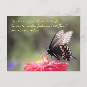 "sunshine  Freedom  Flower" Butterfly Quote Postcard by time2see at Zazzle