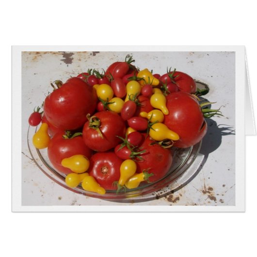 Sunshine Garden Collection ~ Tomatoes Cards (Front Horizontal)