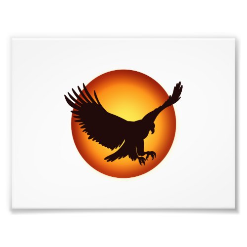 Sunshine hawk silhouette _ Choose background color Photo Print