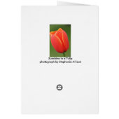 Sunshine in a Tulip Cards (Back)