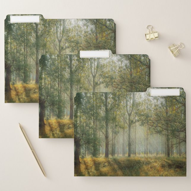 Sunshine in the Forest. File Folder (Set)