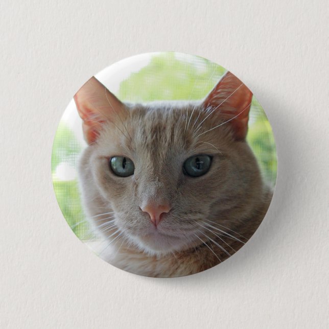 Sunshine Kitty Button (Front)