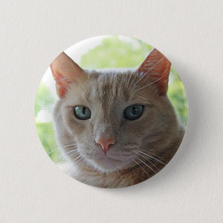 Sunshine Kitty Button