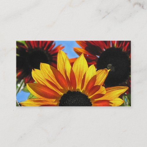 Sunshine Landscaping Business Card