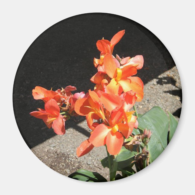 Sunshine Love... Magnet (Front)