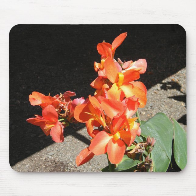 Sunshine Love... Mouse Pad (Front)