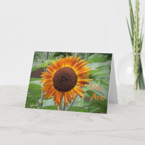 Sunshine Of My Life Sunflower Greeting Card