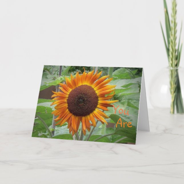 Sunshine Of My Life Sunflower Greeting Card (Front)