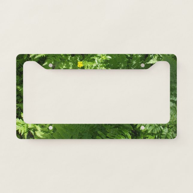 Sunshine on Ferns and Flower License Plate Frame (Front)