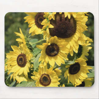 Sunshine on Stalks Mouse Pad