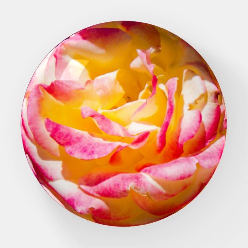 Sunshine Rose Petals Paperweight