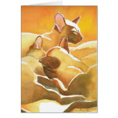 Sunshine Siamese Cats (Front)