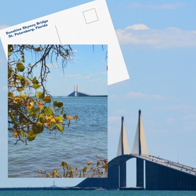 Sunshine Skyway Bridge St Petersburg Photographic Postcard (Creator Uploaded)