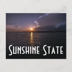 Sunshine State Postcard
