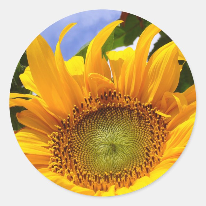 SUNSHINE SUNFLOWER Stickers