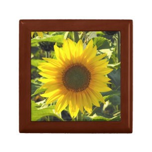 Sunshine Sunflower Wood Gift Box