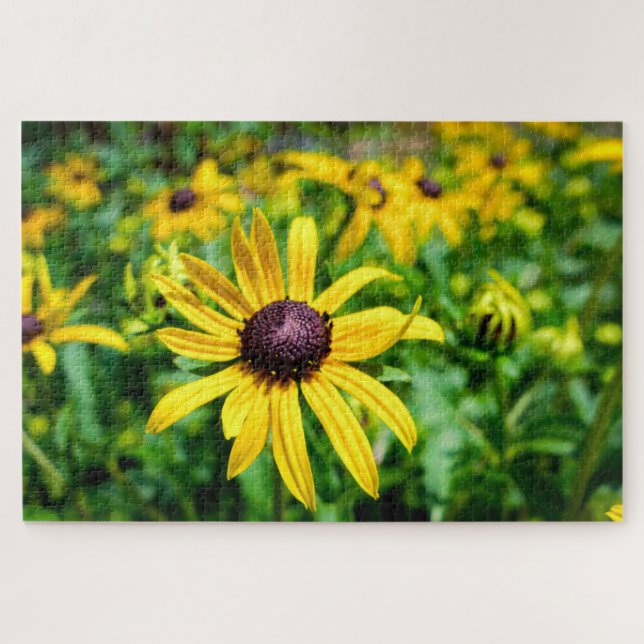 Sunshine Susans Jigsaw Puzzle (Horizontal)