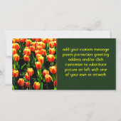 Sunshine Tulips (Front)