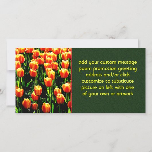 Sunshine Tulips (Front)