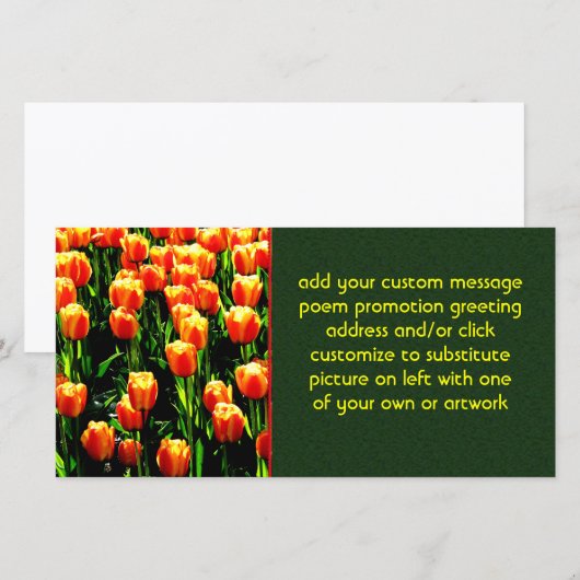 Sunshine Tulips (Front/Back)