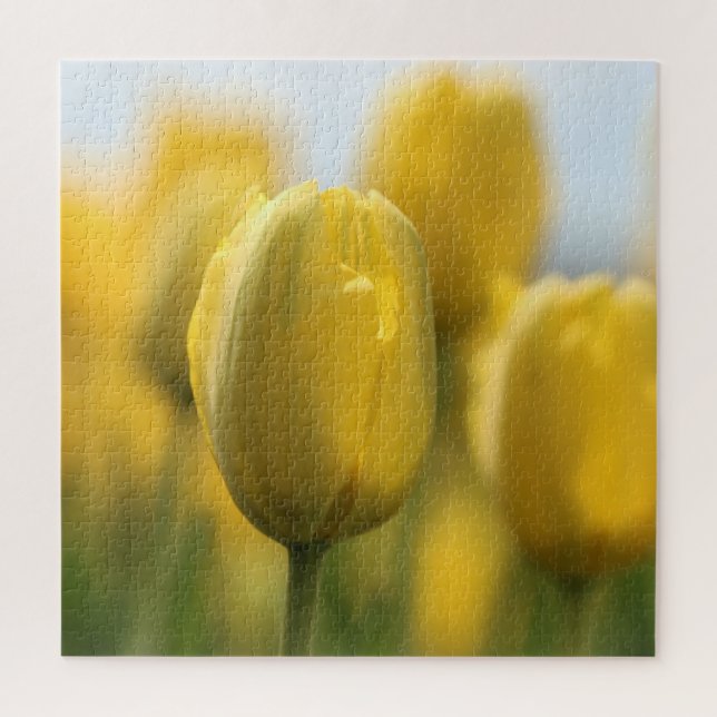 Sunshine tulips jigsaw puzzle (Vertical)