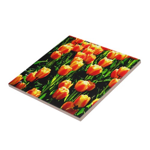 Sunshine Tulips Tile