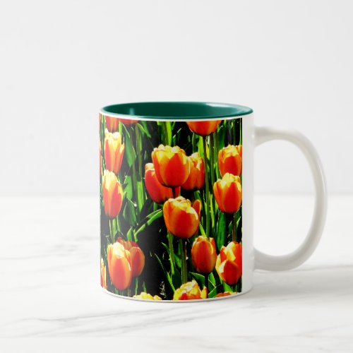 Sunshine Tulips Two_Tone Coffee Mug