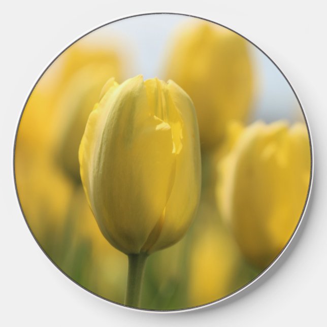 Sunshine tulips wireless charger  (Front)