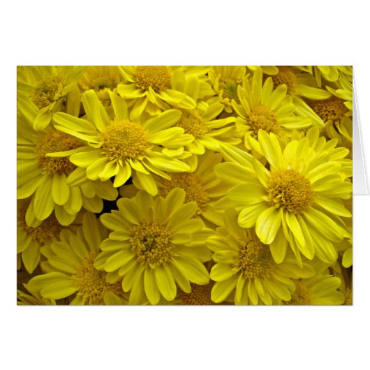 Sunshine Yellow Chrysanthemums Cards (Front Horizontal)