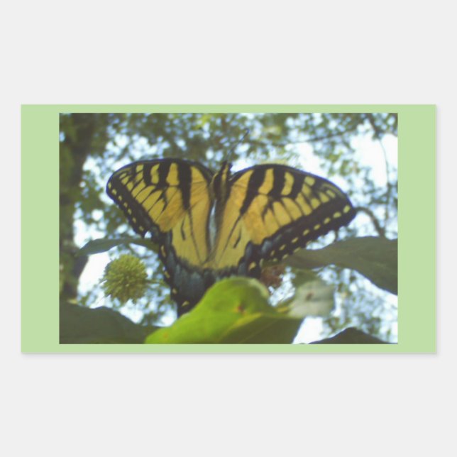 Sunshine Yellow Monarch Rectangular Sticker (Front)