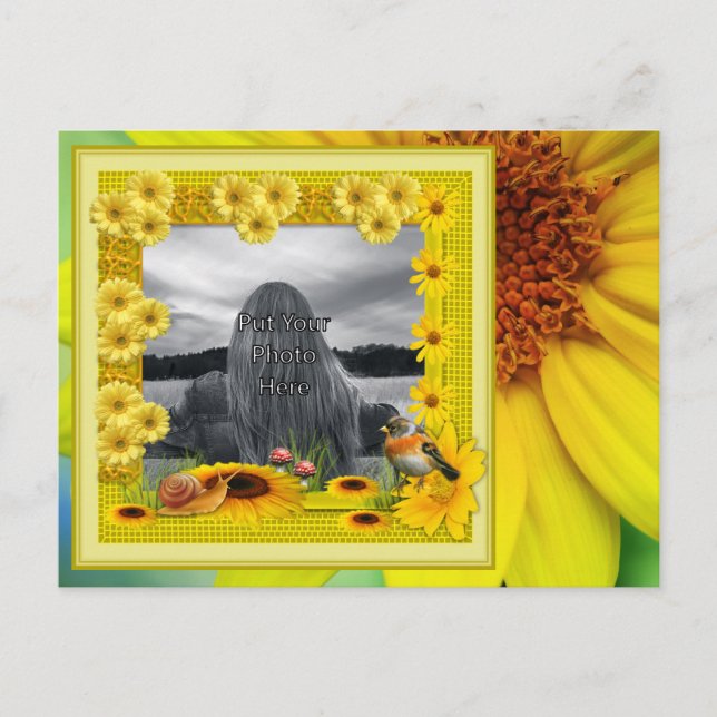Sunshine Yellow Sunflower Photo Frame Postcard (Front)