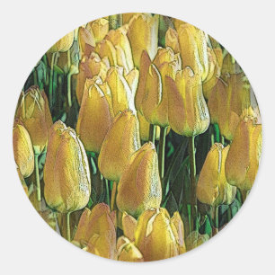Sunshine Yellow Tulips Classic Round Sticker