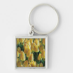 Sunshine Yellow Tulips Keychain