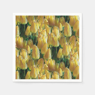 Sunshine Yellow Tulips Napkins