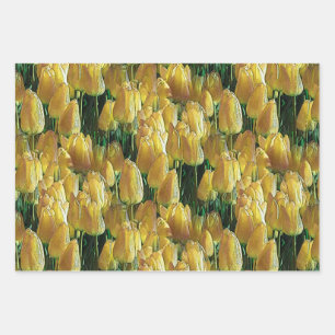 Sunshine Yellow Tulips Wrapping Paper Sheets