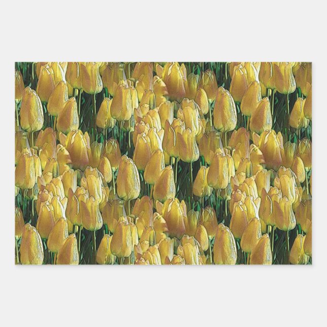 Sunshine Yellow Tulips Wrapping Paper Sheets (Front)