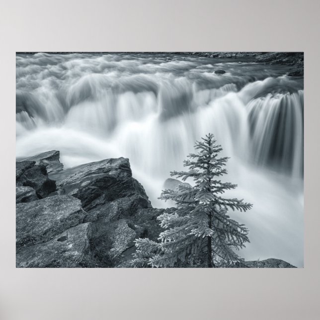 Sunwapta Falls bw Poster (Front)