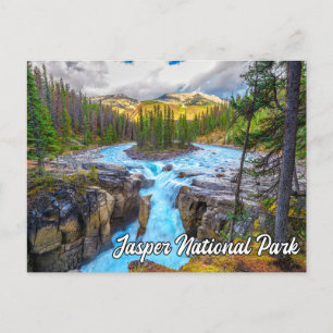 Sunwapta Falls, Jasper National Park Postcard