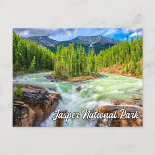 Sunwapta Falls, Jasper National Park Postcard