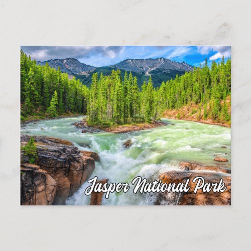 Sunwapta Falls Jasper National Park Postcard
