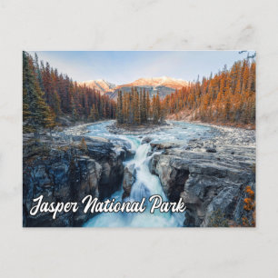 Sunwapta Falls, Jasper National Park Postcard