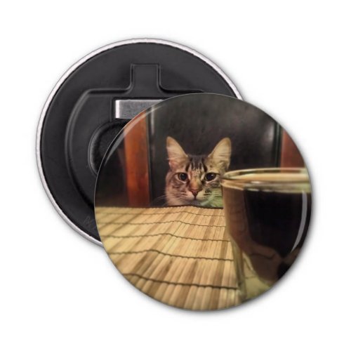 Sup Beer Funny Humor Kitty Cat Photo Photography Bottle Opener