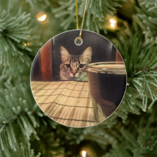 Sup Beer Funny Humor Kitty Cat Photo Photography Ceramic Ornament