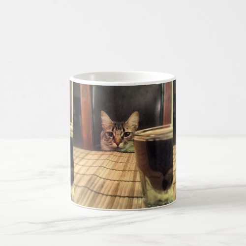 Sup Beer Funny Humor Kitty Cat Photo Photography Coffee Mug