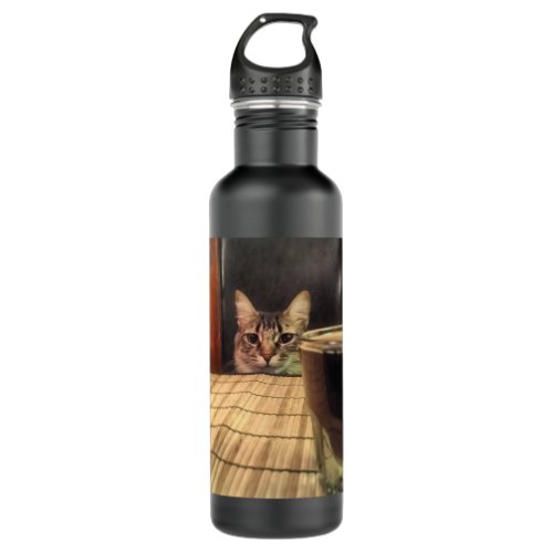 Sup Beer Funny Humor Kitty Cat Photo Photography Stainless Steel Water Bottle