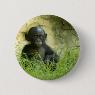Sup? DArcy Evans Photo Button