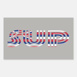 SUP Hawaii Flag Retro Rectangular Sticker